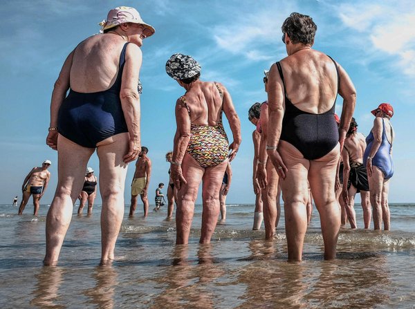 Fleurs de cbd puissant : que dit la loi sur ces produits ?