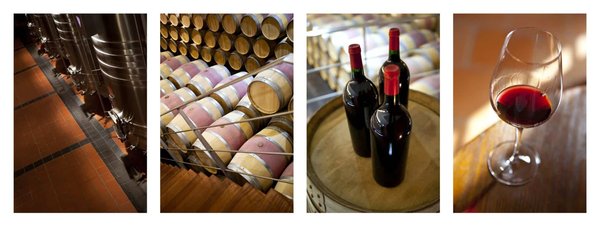 Quelles sont les implications d'une consommation modérée d'alcool sur la maladie de Charcot-Marie-Tooth?